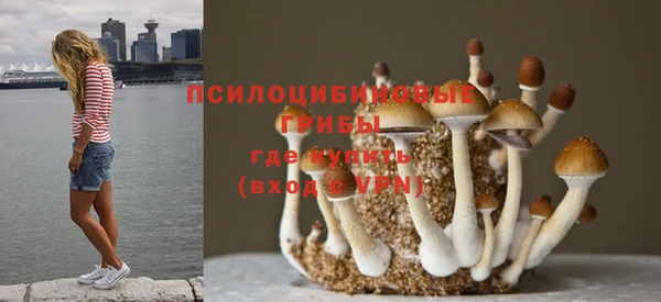 гашик Арсеньев