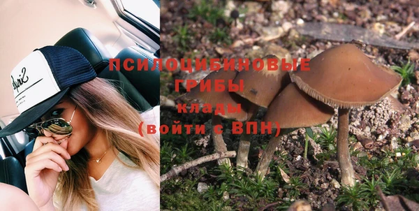 гашик Арсеньев