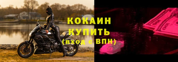 гашик Арсеньев