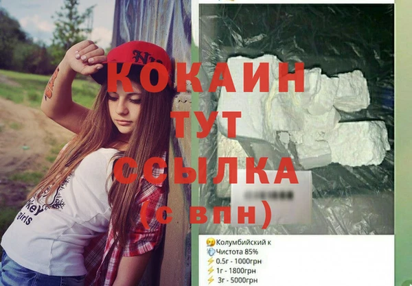 гашик Арсеньев