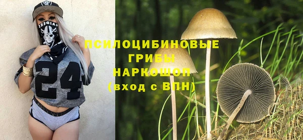 гашик Арсеньев