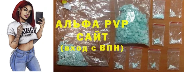 гашик Арсеньев
