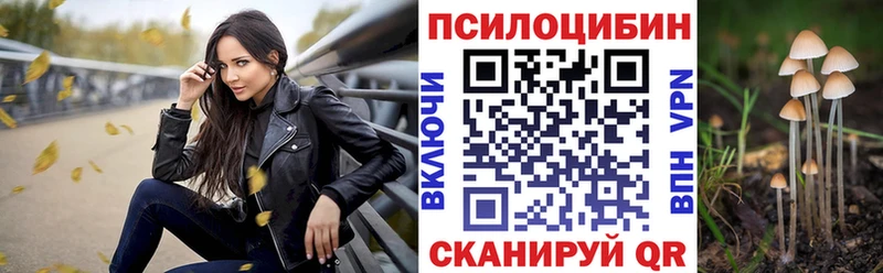 mega ТОР  Артёмовск  Псилоцибиновые грибы мицелий 